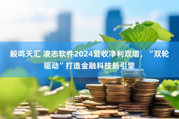 毅鸣天汇 凌志软件2024营收净利双增，“双轮驱动”打造金融科技新引擎