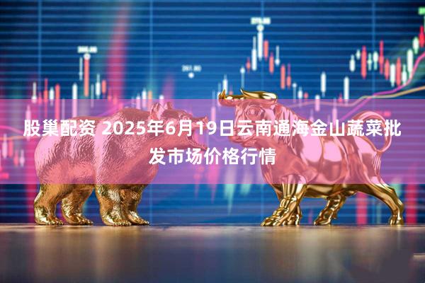 股巢配资 2025年6月19日云南通海金山蔬菜批发市场价格行情