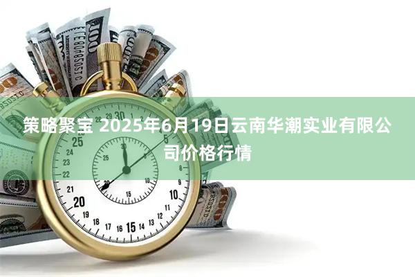 策略聚宝 2025年6月19日云南华潮实业有限公司价格行情