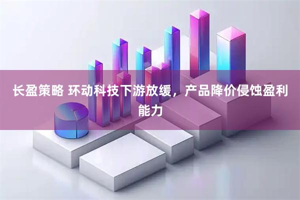 长盈策略 环动科技下游放缓，产品降价侵蚀盈利能力