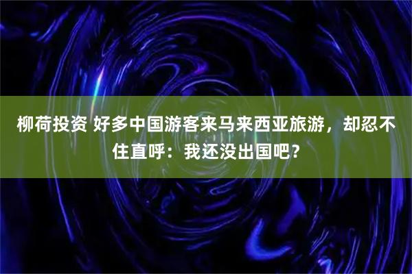 柳荷投资 好多中国游客来马来西亚旅游，却忍不住直呼：我还没出国吧？